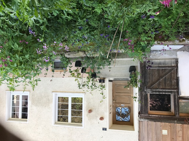 Kontakt Blumen